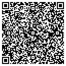 QR code with Carrier Jr Joseph R contacts