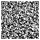 QR code with Brice Arts Academy contacts
