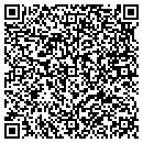 QR code with Promo Flyer Inc contacts