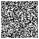 QR code with City Of Viola contacts