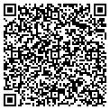 QR code with Curves contacts