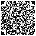 QR code with Curves contacts