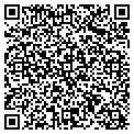 QR code with Curves contacts
