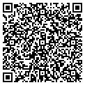 QR code with Curves contacts