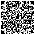 QR code with Curves contacts