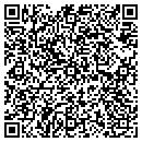 QR code with Borealis Heating contacts