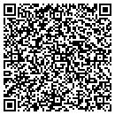QR code with Cobb Public Schools contacts