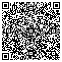 QR code with Curves contacts