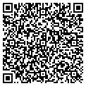 QR code with Curves contacts