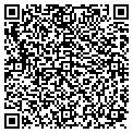 QR code with Msdlt contacts