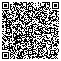 QR code with Haldex contacts