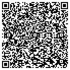 QR code with Baldwin Area Developers contacts