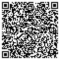 QR code with Anwan contacts