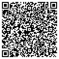 QR code with Bugman contacts