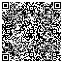 QR code with Punch Inc contacts