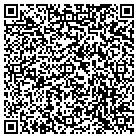 QR code with P & A Ent Sports Unlimited contacts