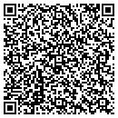 QR code with Central Video Service contacts