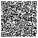 QR code with Amscot contacts