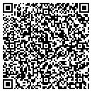 QR code with Bison Public Library contacts