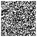 QR code with City Hall Of Rawlins contacts