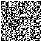 QR code with Bridgeview Public Library contacts