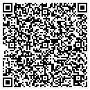 QR code with Cokato Public Library contacts