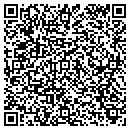 QR code with Carl Teston Painting contacts