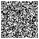 QR code with Castrucci Hannah M MD contacts