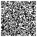QR code with Bison Public Library contacts