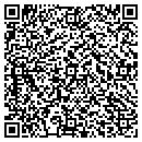QR code with Clinton Camille M MD contacts