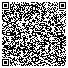 QR code with Baldwin Shea Consulting contacts