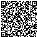 QR code with Acvecc contacts