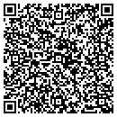 QR code with Cognisa Security contacts