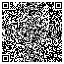 QR code with Center For the Arts contacts