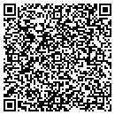 QR code with Pro Plastering contacts