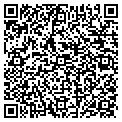 QR code with Ingenius Corp contacts
