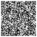 QR code with Charles Iv Stein F Do contacts