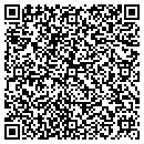 QR code with Brian The Electrician contacts