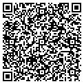 QR code with Dsm Alarm contacts