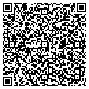QR code with Carter Vanessa R contacts