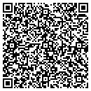 QR code with Professional Alarm contacts