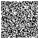QR code with Protek Security Corp contacts
