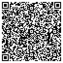 QR code with Pro Systems contacts