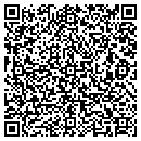 QR code with Chapin Developers Inc contacts