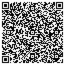 QR code with Clv Technologies Inc contacts