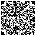 QR code with Arlex contacts