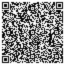 QR code with Pt Plus Inc contacts