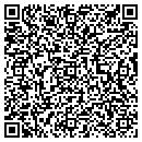 QR code with Punzo Anthony contacts