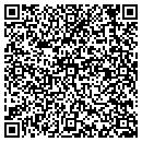 QR code with Capri Electronics LLC contacts