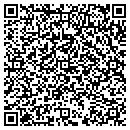 QR code with Pyramid Title contacts